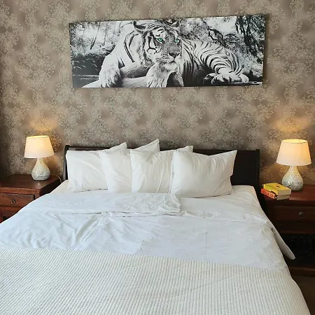 Tina's Place Appartement *